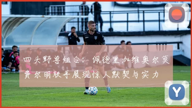 四头野兽组合：佩德里加维奥尔莫费尔明联手展现惊人默契与实力