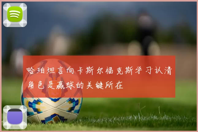 哈珀坦言向卡斯尔福克斯学习认清角色是赢球的关键所在